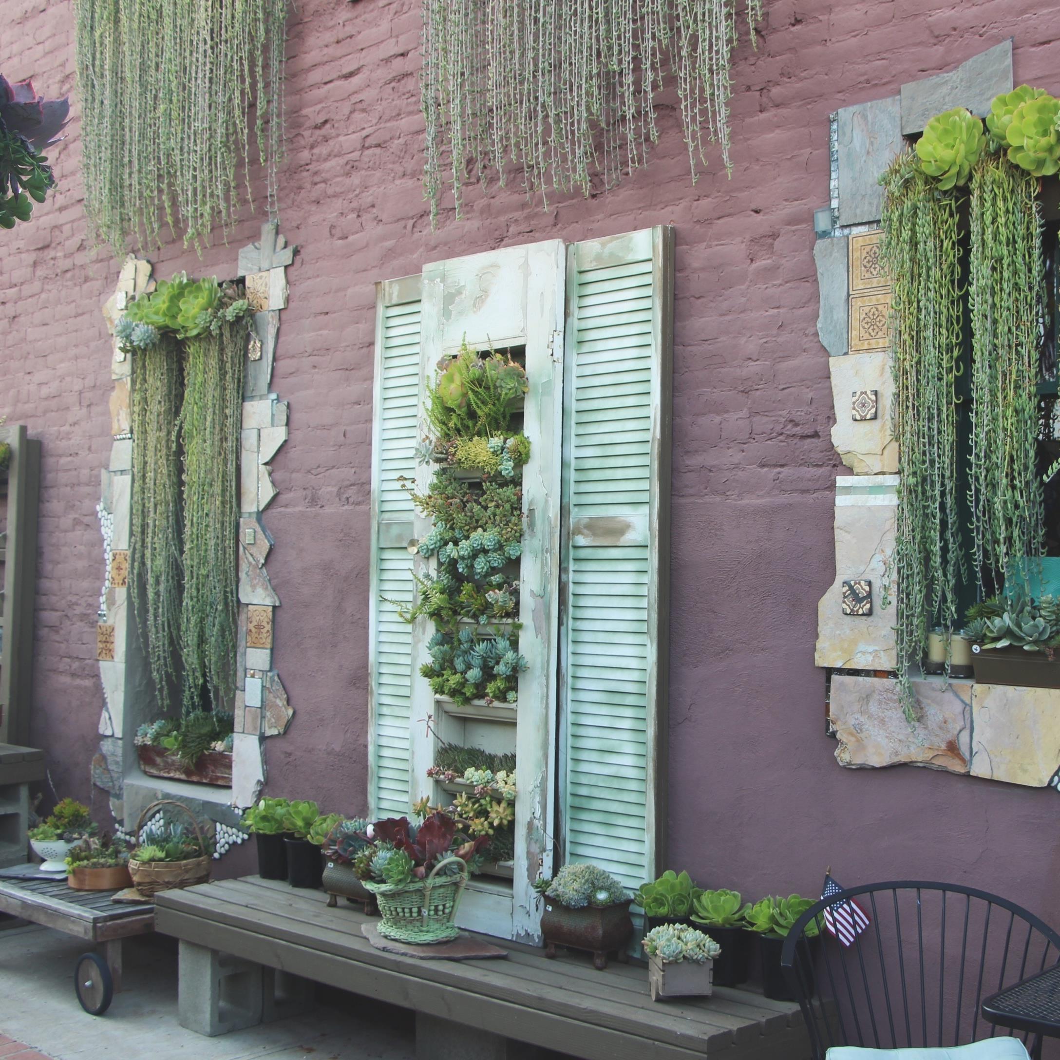 Succulent Cafe Oceanside: A Living Masterpiece&nbsp;